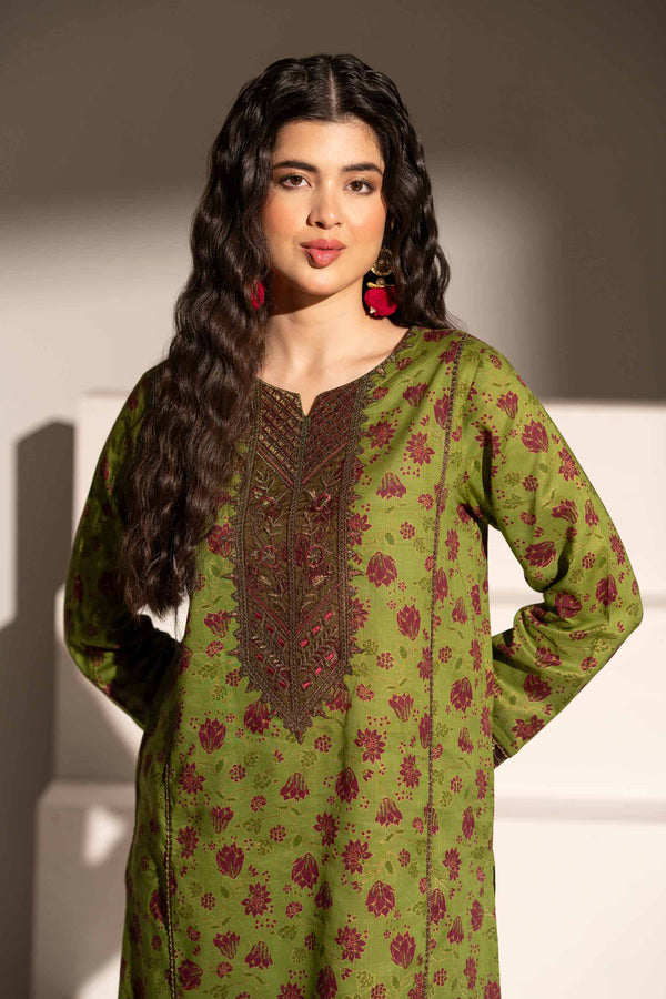 2 Piece - Printed Embroidered Suit - PE25-189