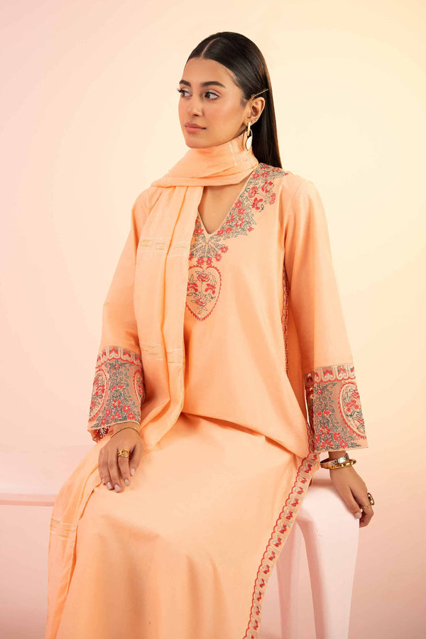 2 Piece - Embroidered Suit - PS25-54